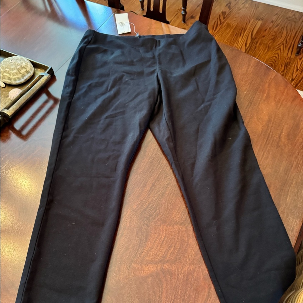 NWT Eileen Fisher Large Black Skinny Pants